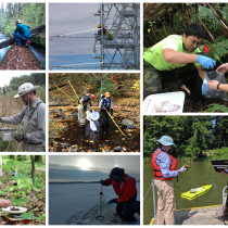 Field ecologists collecting NEON data at various NEON field sites.