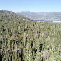 Forest and hills at Lower Teakettle terrestrial field site in California 