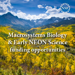 macrosystems Biology and Early career science funding advertisement square