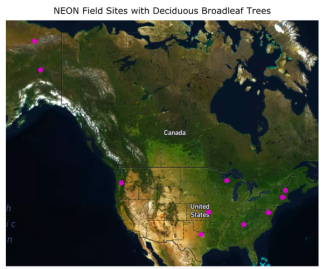 Deciduous broadleaf NEON sites
