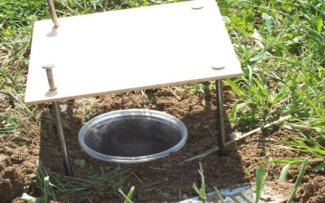 Pitfall trap used for beetle data collection