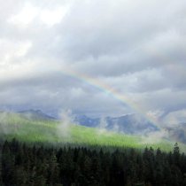Rainbow at WREF field site