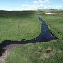 Oksrukuyik Creek aquatic field site in Alaska