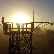 Flux tower at the Lajas Experimental Station field site