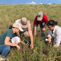 2021_photo_people_Konza plant diversity protocol