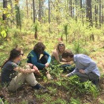 Plant Phenology training at TALL