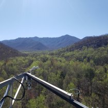 View of Mt. LeConte from GRSM Tower.