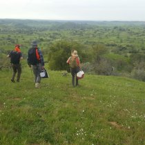 SJER field sampling crew.