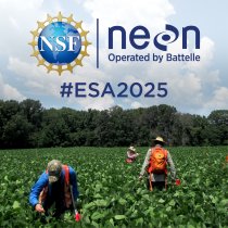 NEON at ESA 2025