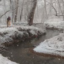 Mid Atlantic Domain Stream in the winter