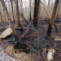 Photos of wildfire damage at GRSM. Associated article "NEON's Great Smoky Mountains Data will capture Tennessee fire impacts on local ecology"