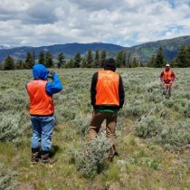 Field technicians conducting observational sampling