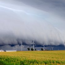 Stock Photo of strong winds on a farm