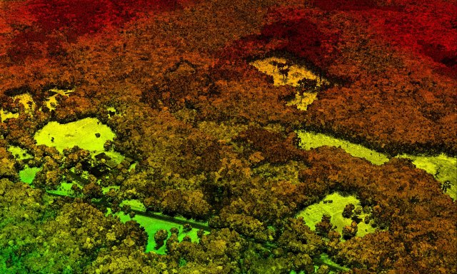 LiDAR image from Harvard Forest 2012