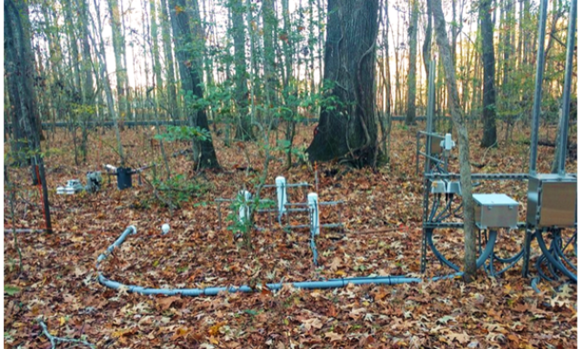 Soil sensors at the LENO field site