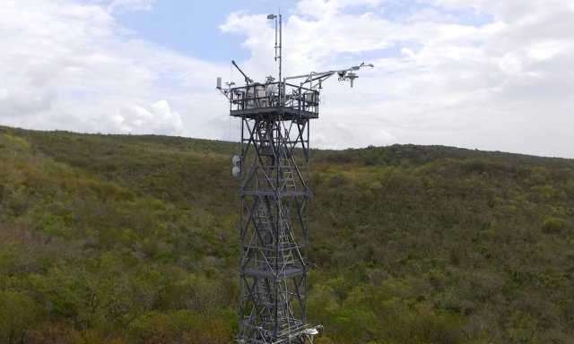 Flux tower at the GUAN field site in Puerto Rico