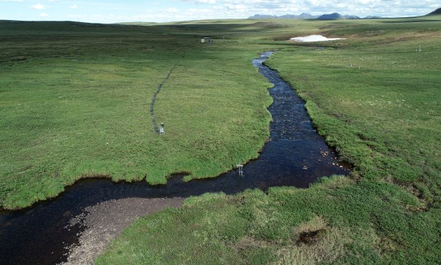 Oksrukuyik Creek aquatic field site in Alaska