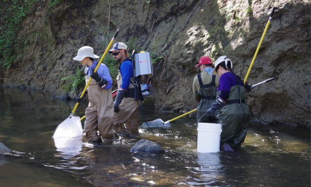 Field technicians conducting aquatic sampling