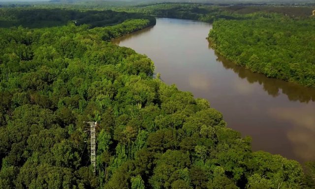 LENO flux tower and TOMB river