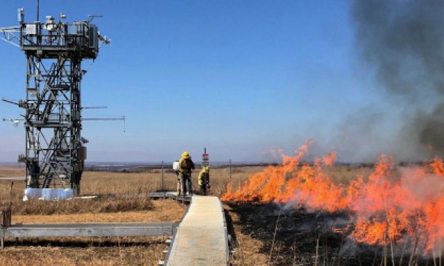 Prescribed burn at KONZ