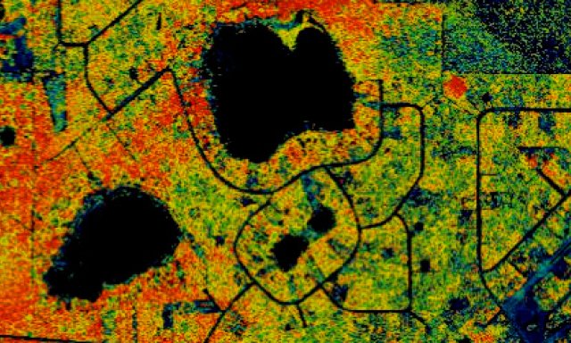 Hyperspectral image from OSBS