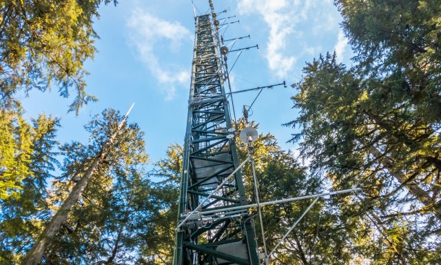 Wind River Tower in D16