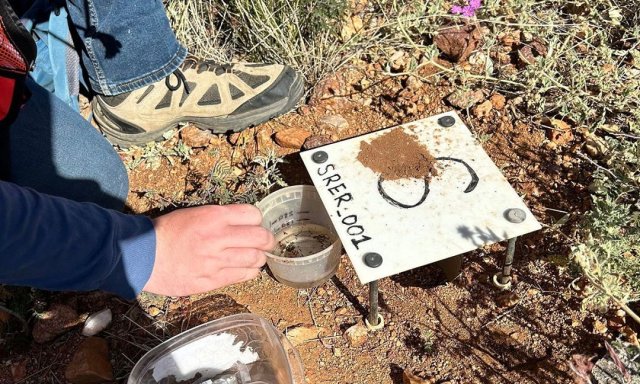 Field work with a beetle pitfall trap