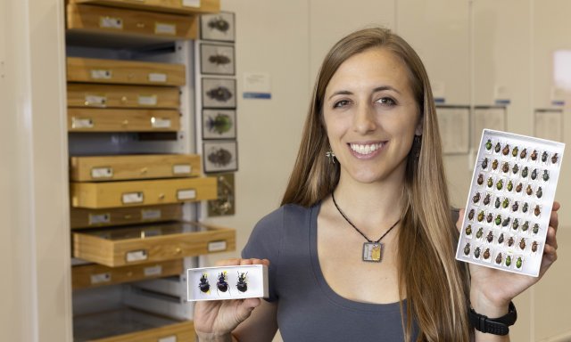 photo of person holding beetle specimens