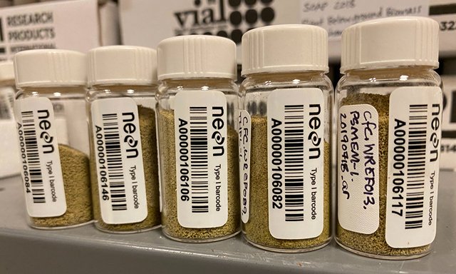 Photo of soil sample vials