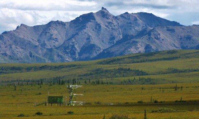 View of Mount Healy from HEAL field site