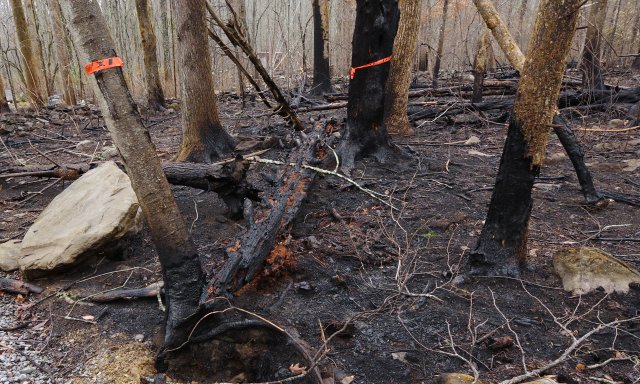 Photos of wildfire damage at GRSM. Associated article "NEON's Great Smoky Mountains Data will capture Tennessee fire impacts on local ecology"