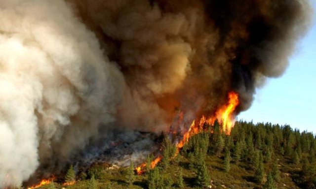 Wildfire on ridge