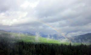 Rainbow at WREF field site