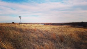 Landscape at the OAES field site