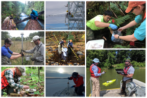 Field ecologists collecting NEON data at various NEON field sites.