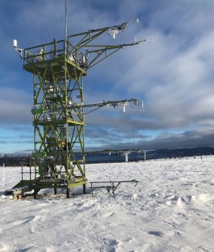 Tower at NEON HEAL field site