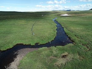 Oksrukuyik Creek aquatic field site in Alaska