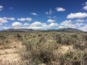 ONAQ landscape