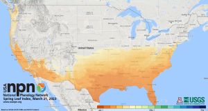 usanpn_spring_leaf_index_map_mar21