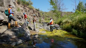 Water Chem Sampling and Processing