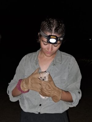 Olivia Chapman holding a hedgehog at night