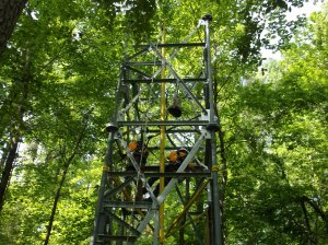 The tower at LENO