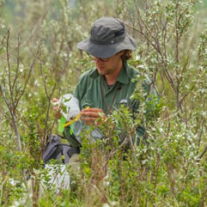 Northern Plains domain field technician 