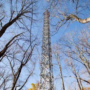 Flux tower amongst the trees at the SERC field site