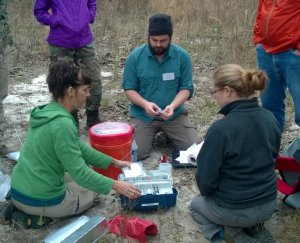 Small mammal sampling in Florida