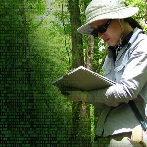 Field technician writing in field journal