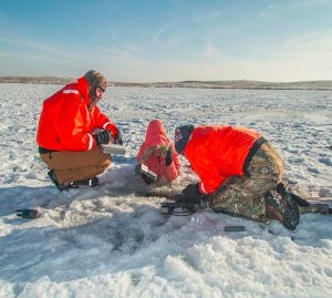 Field ecologists doing ice sampling at a Domain 09 field site