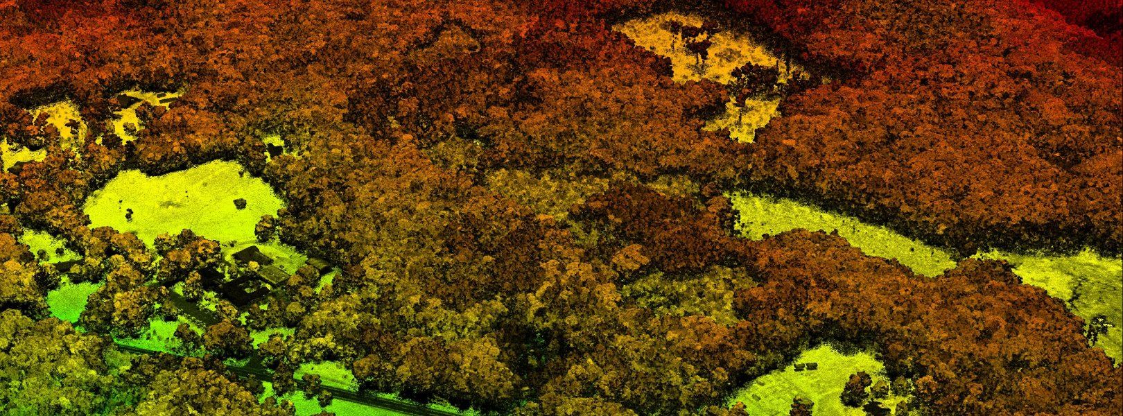 LiDAR image from Harvard Forest 2012
