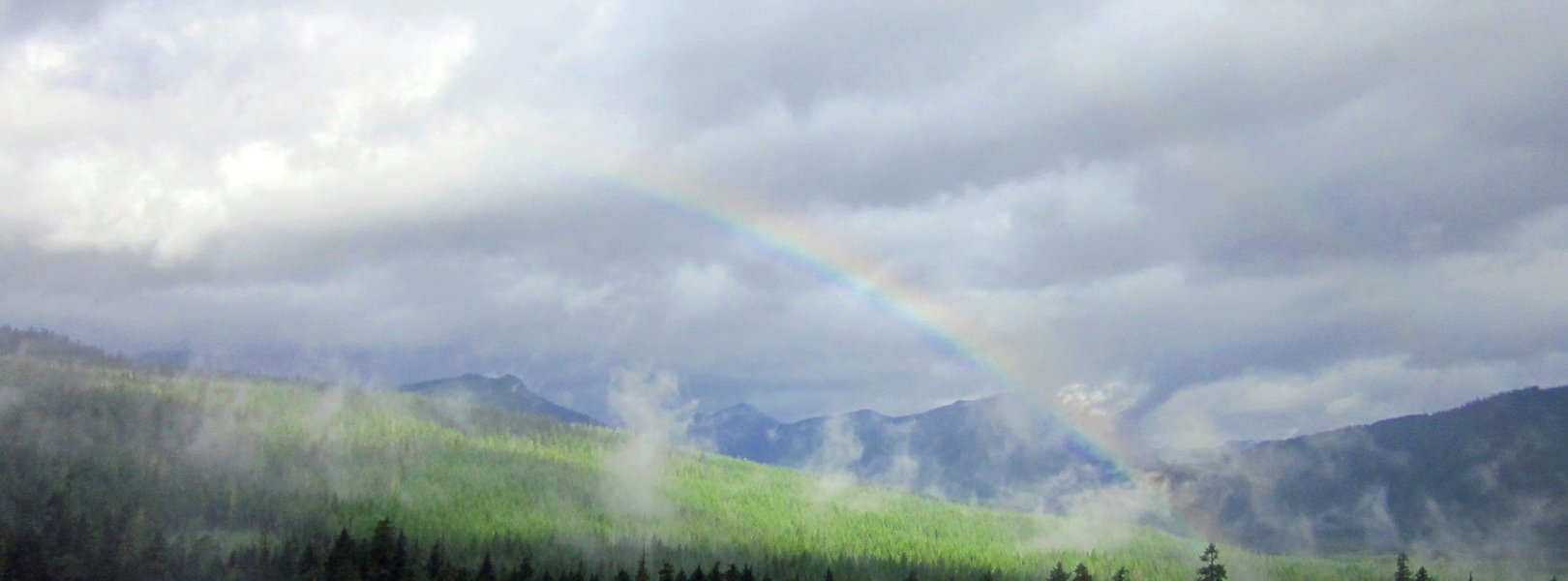 Rainbow at WREF field site