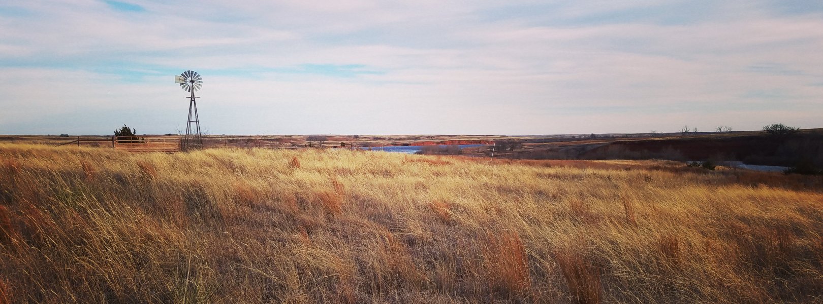 Landscape at the OAES field site